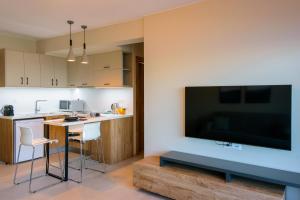 a living room with a large flat screen tv on a wall at Indigo Luxury apartment in Agios Nikolaos