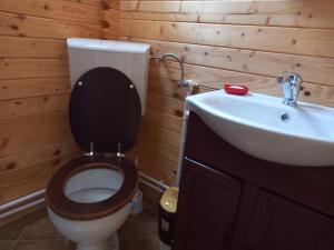 a bathroom with a toilet and a sink at Cabanuta Casuta din Povesti in Bran +32 photos