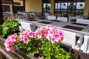 Restaurace v ubytování Pensiunea Danubiu