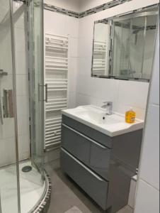 a bathroom with a sink and a shower and a mirror at Suite MaryMe in Stains