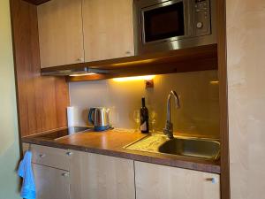 eine Küche mit einer Spüle und einer Mikrowelle in der Unterkunft Apartmán Mountain View - Tatragolf C in Veľká Lomnica