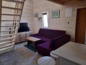 ein Wohnzimmer mit einem lila Sofa und einem TV in der Unterkunft Malowane Wrota in Łazy