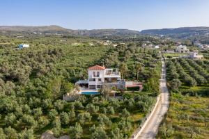 an aerial view of a house in a vineyard at Tsourlakis Residence, an oasis of tranquility, By ThinkVilla in Pigi