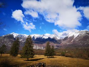 a field with trees and snow capped mountains at APARTMA JANJA in Bovec