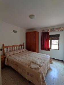 een slaapkamer met een bed en een raam bij Pensión Pradera in Mesones