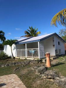 a small white house with a palm tree at Les Gîtes Hoprins in Le Moule