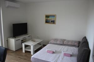 TV a/nebo společenská místnost v ubytování Apartments Bonaca Rovanjska