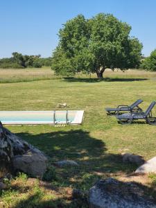 a pool with two chairs and a tree in a field at Monte das Cobras - Country House in Évora