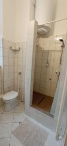 ブダペストにあるDuna Szecsi Apartmanのバスルーム(シャワー、トイレ付)
