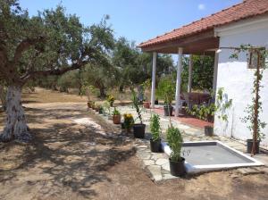 a garden with plants in pots next to a house at Nature of Karapata in Koroni