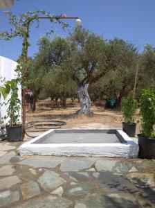 a large concrete tub in front of a tree at Nature of Karapata in Koroni