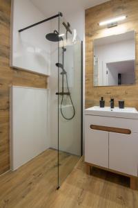 W łazience znajduje się prysznic i umywalka. w obiekcie Maya's Flats & Resorts 51 - Aura 40 w Gdańsku