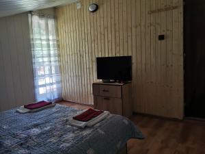 a bedroom with a bed and a flat screen tv at Cabana lucia in Tarcău-Gheuca