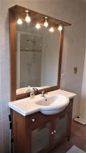 een badkamer met een wastafel en een grote spiegel bij B&B Grenspaal 286 in Hillensberg