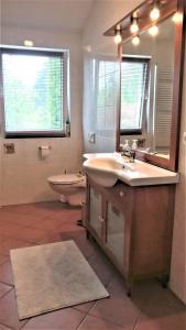 een badkamer met een wastafel, een toilet en een spiegel bij B&B Grenspaal 286 in Hillensberg
