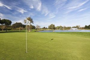 a palm tree sitting on top of a lush green field at Casa Ribera Centro in Ayamonte