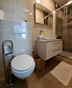 a bathroom with a toilet and a sink and a shower at Room soba u Opatiji Na Lipovici in Opatija