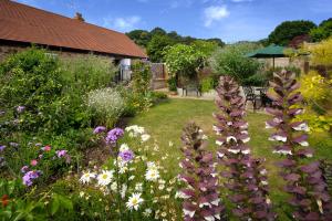 a garden with purple and white flowers and an umbrella at Stone Barn in Minehead