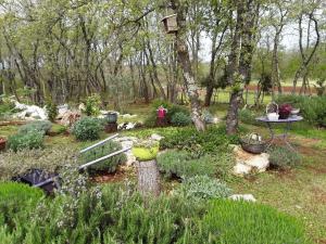 Ogród w obiekcie Apartments Bijou, Nature & Luxury in a green oasis near Umag