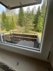 Imagen de la galería de Black Forest - Stüble, en Baiersbronn