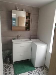 ein Badezimmer mit einem weißen Waschbecken und einem Spiegel in der Unterkunft jolie maison centre ville d'Etaples in Étaples