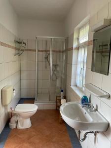 y baño con aseo, lavabo y ducha. en Ferienhaus Traminer im Weinberg, en Freyburg