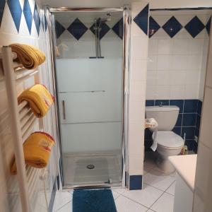 a small bathroom with a shower and a toilet at And&Col Jardin ,terrasse & climatisation in Marseille +7 photos
