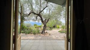 an open door leading to a yard with a tree at Finca Florecer in Tivenys