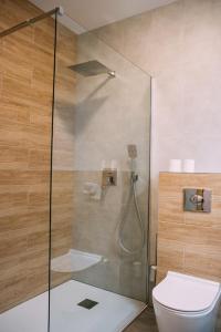 a shower stall in a bathroom with a toilet at Jesionowa Noclegi in Topólka