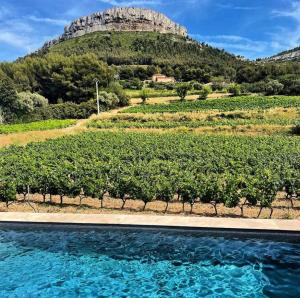 Paesaggio naturale nelle vicinanze del bed & breakfast