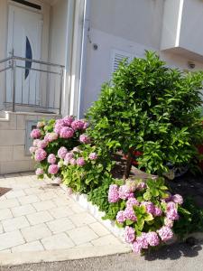 Vonkajšia záhrada v ubytovaní Apartments Pojko