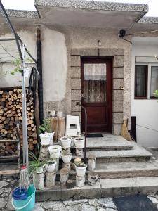 uma casa com um monte de vasos de plantas na frente de uma porta em Емил em Velingrad