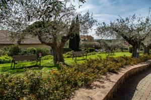 un parc avec des bancs, des arbres, de l'herbe et des fleurs dans l'établissement Hotel Villa Paradiso, à Passignano sul Trasimeno