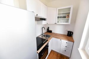 Kuchyňa alebo kuchynka v ubytovaní Apartment Canada