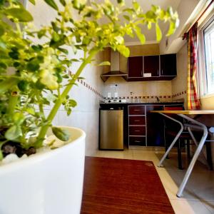 a kitchen with a plant in a large pot at Departamentos Campitelli in General Pacheco