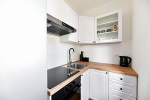Kuchyňa alebo kuchynka v ubytovaní Apartment Canada