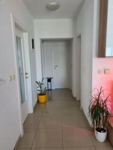 Fotografia z galérie ubytovania Lovely apartment Marijeta-Zadar free private parking v destinácii Zadar