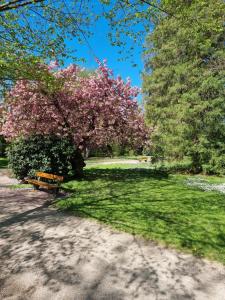 un parque con un banco y un árbol con flores rosas en Relax City Apartments en Kehl am Rhein