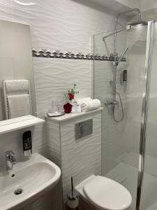 a bathroom with a shower and a toilet and a sink at Hotel Garni Expo in Banská Bystrica