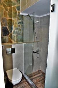奧林匹亞基·阿克蒂的住宿－Virginia Rooms，一间带卫生间和玻璃淋浴间的浴室