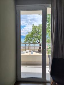 Příroda nedaleko hotelu
