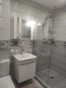 a bathroom with a toilet and a sink and a shower at Апартамент Четири сезона 2 in Velingrad +12 photos