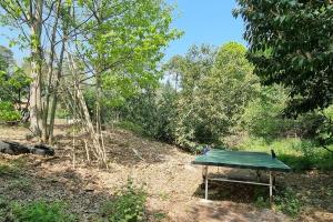 una mesa verde en medio de un bosque en Jolie maison en pleine nature, en Villiers-sous-Grez