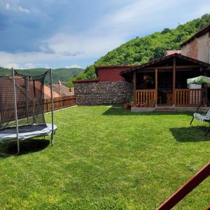 a yard with a swing and a house at Casa UILA in Orşova