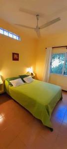 a bedroom with a green bed and a window at Las Casitas, cabañas & suites in Pincén