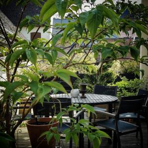 Maison d'hôtes du Jardin في سانت فاليري سور سوم: فناء مع طاولة وكراسي والنباتات