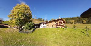 une maison sur une colline dans un champ dans l'établissement BIO-Bauernhof Hatzbauer, à Maria Alm