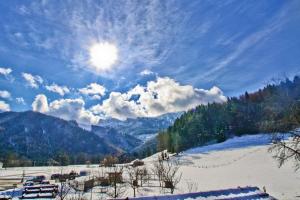 겨울의 Ferienwohnungen Wanderparadies Bauernhof