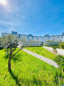 een boom in het gras naast een stoep bij Apartment Nobilis in Zambratija