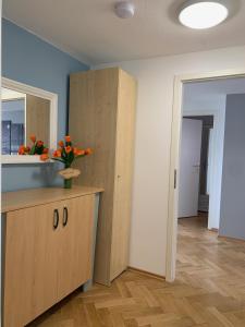 Kuchyň nebo kuchyňský kout v ubytování Ferienwohnung Nikolaiblick